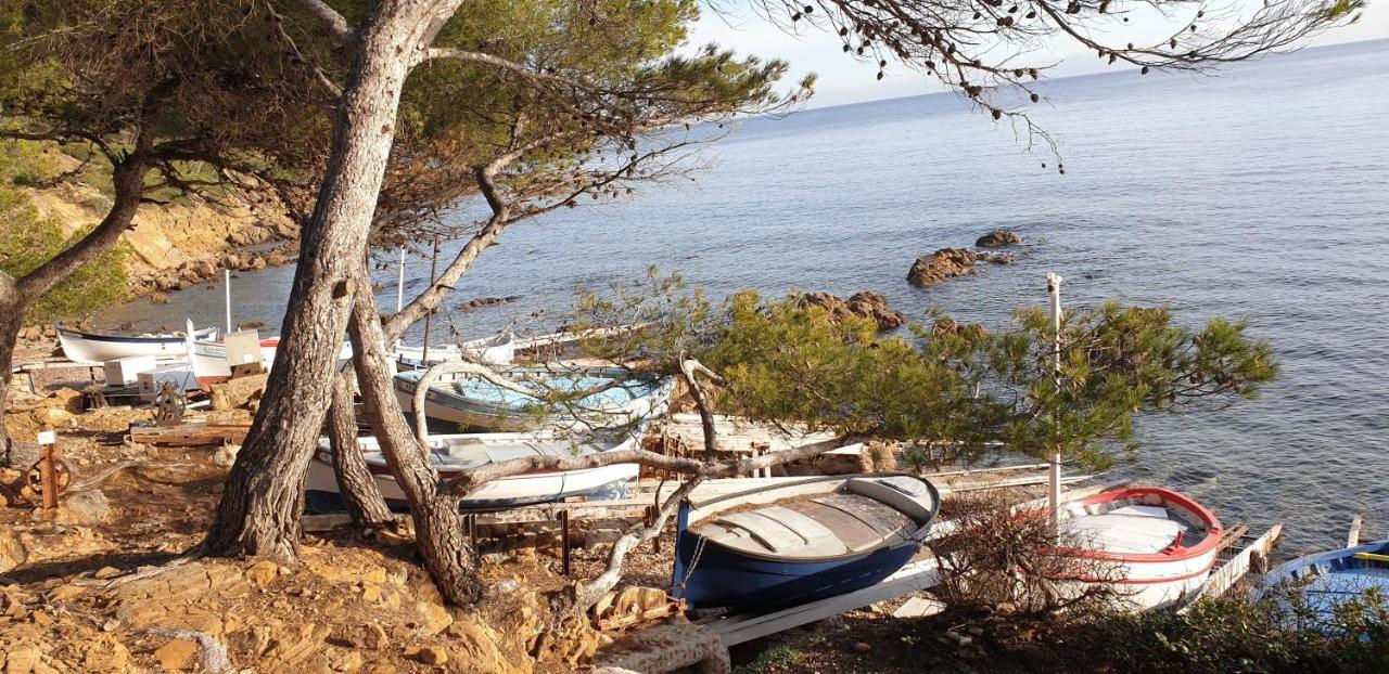 Chambres D'Hotes Chez Pat Et Nanou Six-Fours-les-Plages Kültér fotó